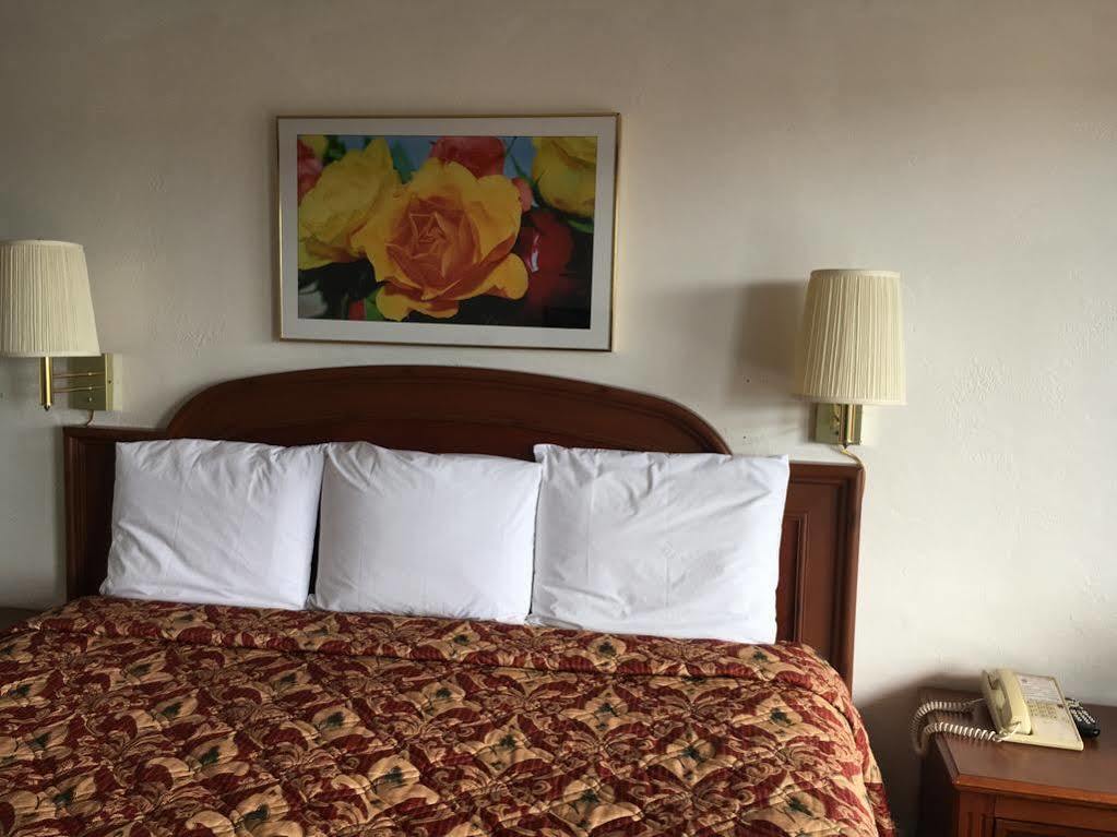 兰布林玫瑰汽车旅馆 金曼 外观 照片